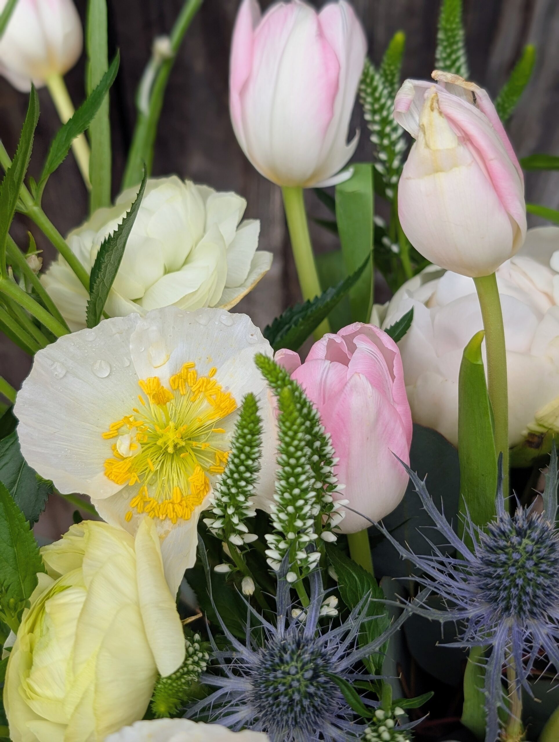 Delivery- Boulder, Lyons, Broomfield, and more