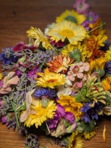 Edible Blooms
